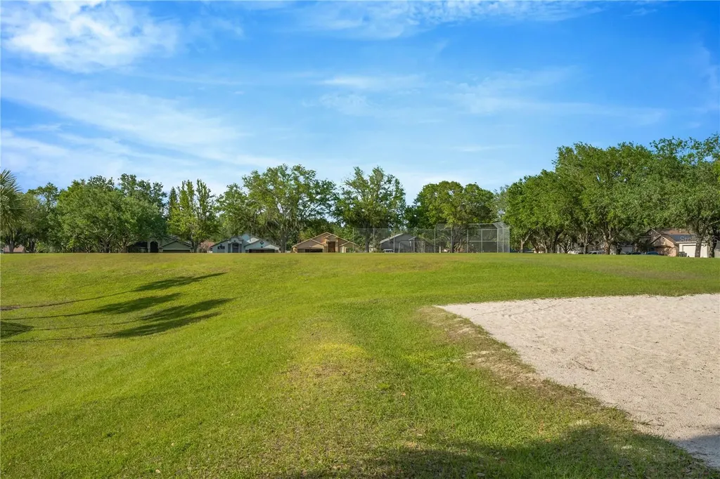 519 Summer Sails Drive Valrico FL 33594