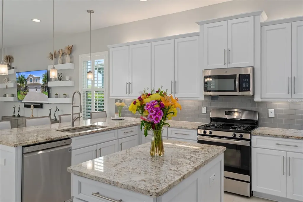 30351 Tristania Court Wesley Chapel FL 33543