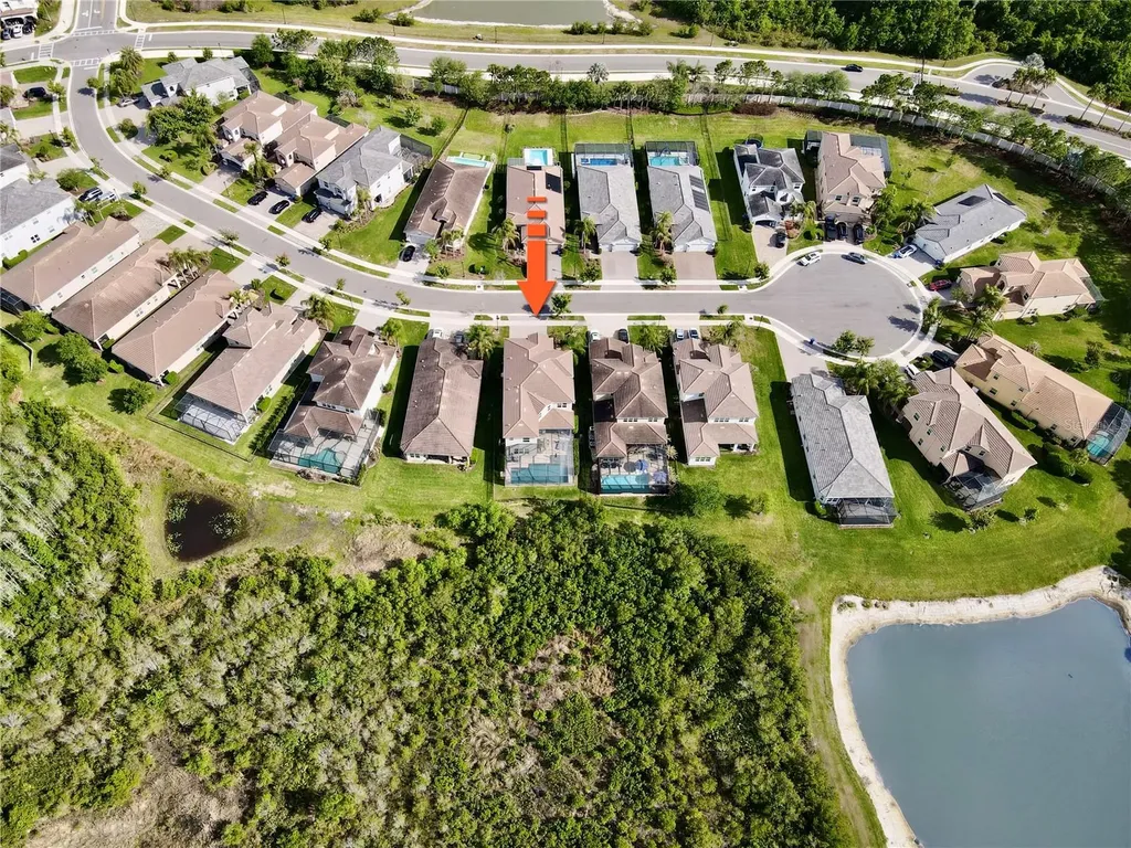 30351 Tristania Court Wesley Chapel FL 33543