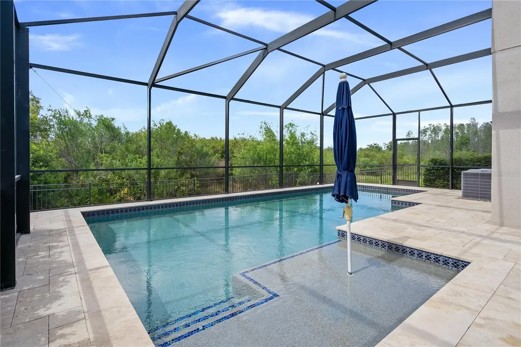 30351 Tristania Court Wesley Chapel FL 33543