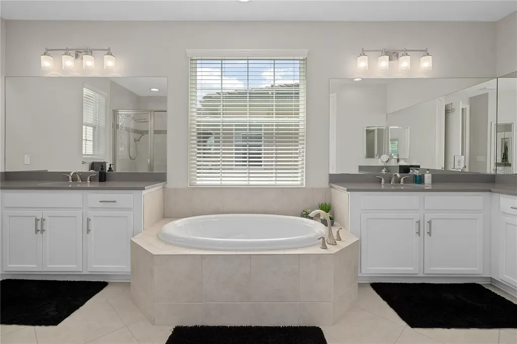 30351 Tristania Court Wesley Chapel FL 33543