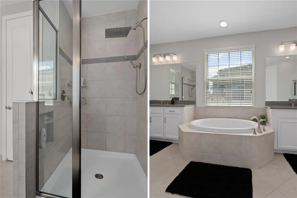 30351 Tristania Court Wesley Chapel FL 33543