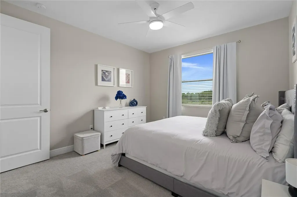 30351 Tristania Court Wesley Chapel FL 33543