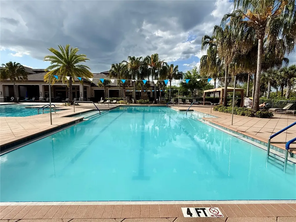 30351 Tristania Court Wesley Chapel FL 33543