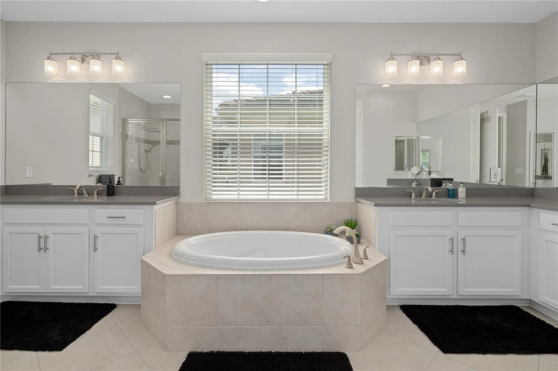 30351 Tristania Court Wesley Chapel FL 33543
