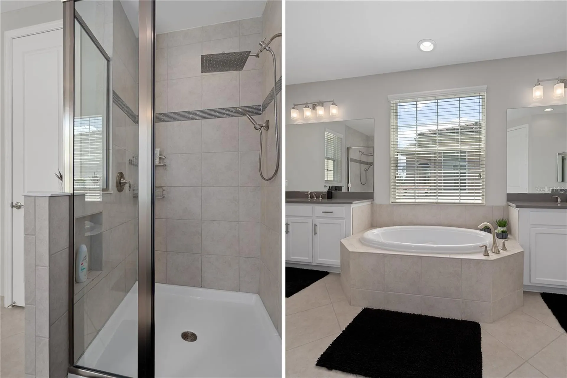 30351 Tristania Court Wesley Chapel FL 33543
