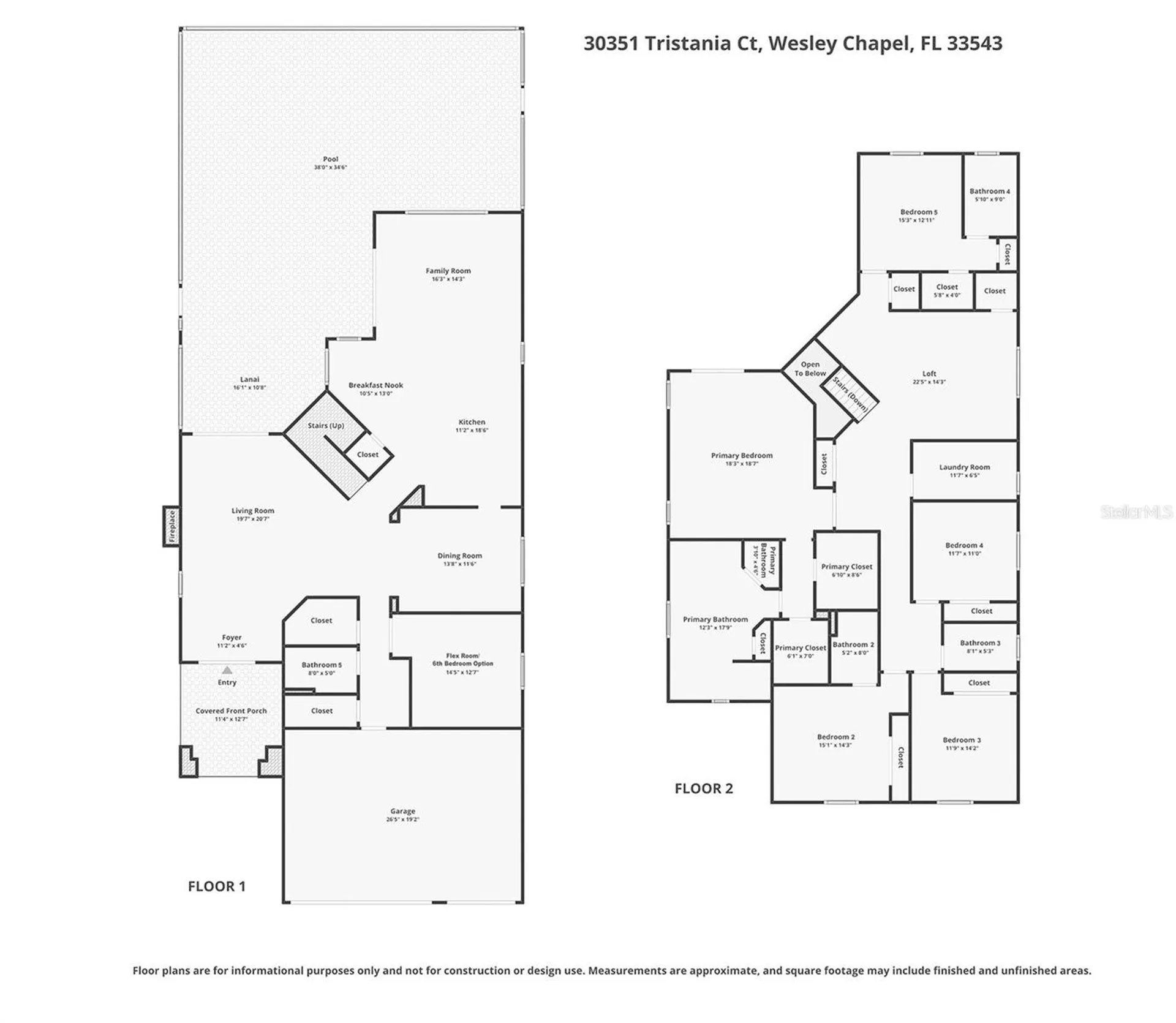 30351 Tristania Court Wesley Chapel FL 33543