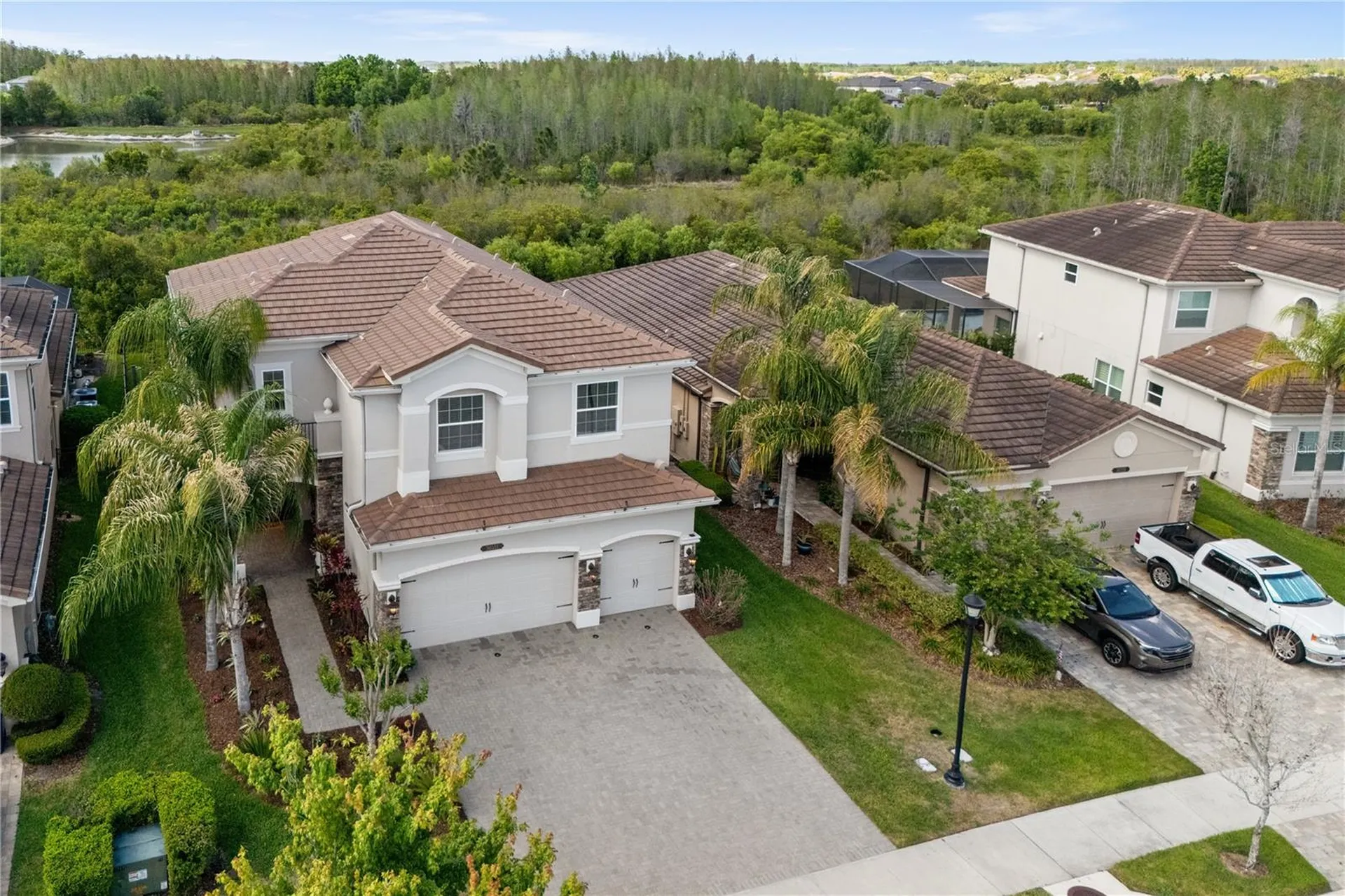 30351 Tristania Court Wesley Chapel FL 33543