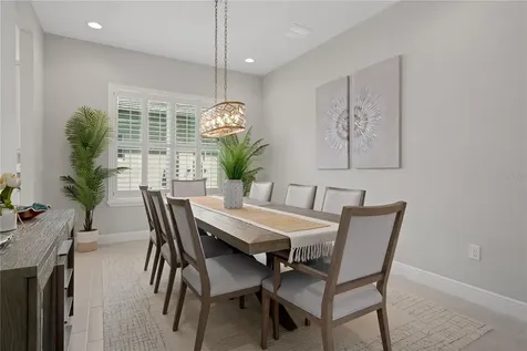 30351 Tristania Court Wesley Chapel FL 33543