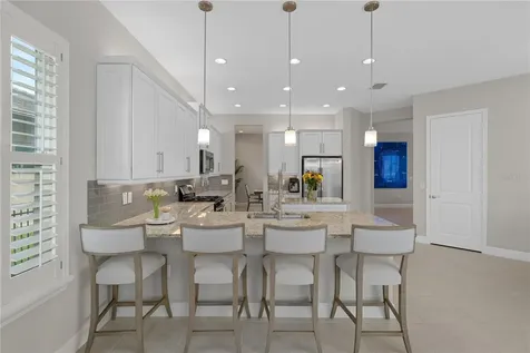 30351 Tristania Court Wesley Chapel FL 33543