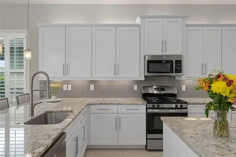 30351 Tristania Court Wesley Chapel FL 33543