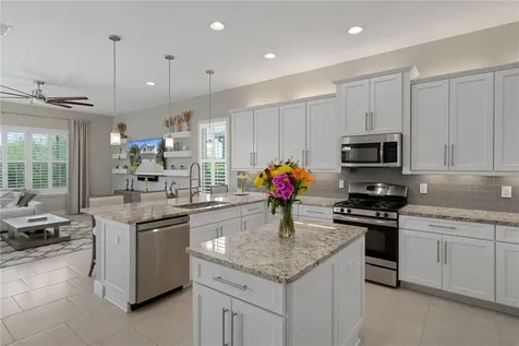 30351 Tristania Court Wesley Chapel FL 33543