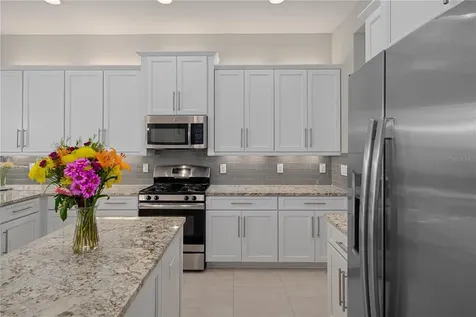 30351 Tristania Court Wesley Chapel FL 33543