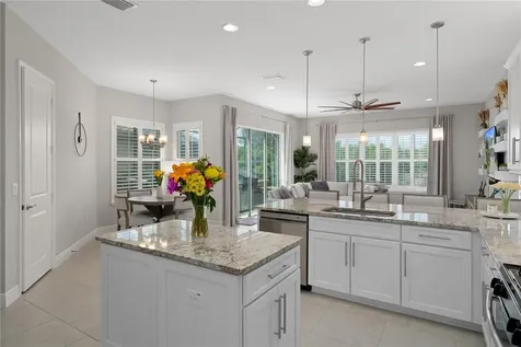 30351 Tristania Court Wesley Chapel FL 33543