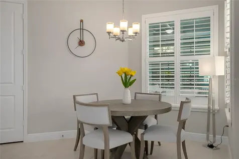 30351 Tristania Court Wesley Chapel FL 33543