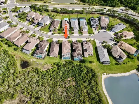 30351 Tristania Court Wesley Chapel FL 33543