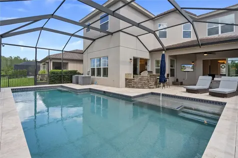 30351 Tristania Court Wesley Chapel FL 33543