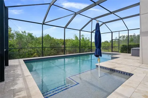 30351 Tristania Court Wesley Chapel FL 33543