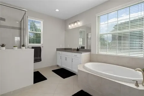 30351 Tristania Court Wesley Chapel FL 33543