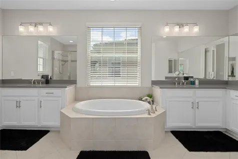 30351 Tristania Court Wesley Chapel FL 33543