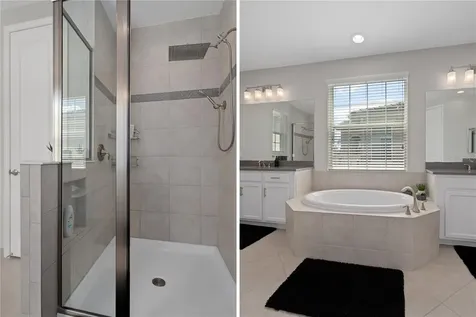 30351 Tristania Court Wesley Chapel FL 33543