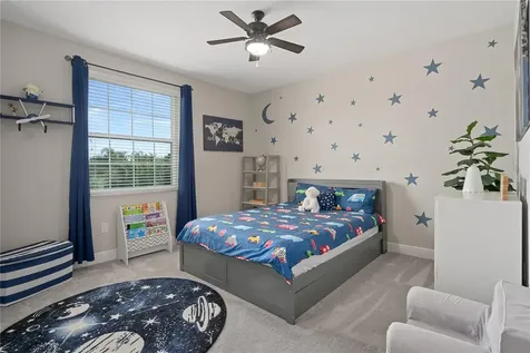 30351 Tristania Court Wesley Chapel FL 33543