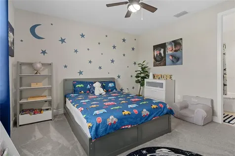 30351 Tristania Court Wesley Chapel FL 33543