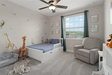 30351 Tristania Court Wesley Chapel FL 33543