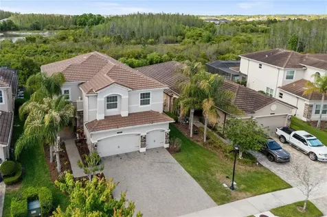 30351 Tristania Court Wesley Chapel FL 33543