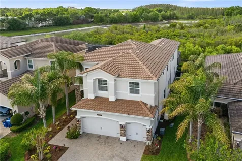 30351 Tristania Court Wesley Chapel FL 33543