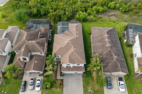 30351 Tristania Court Wesley Chapel FL 33543