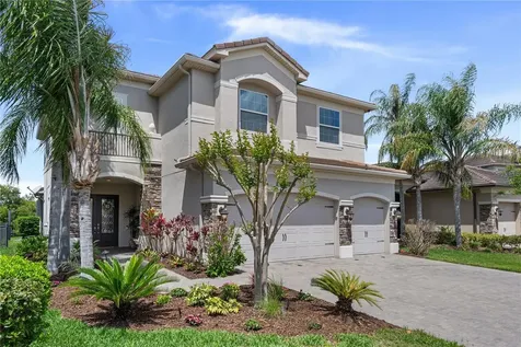 30351 Tristania Court Wesley Chapel FL 33543