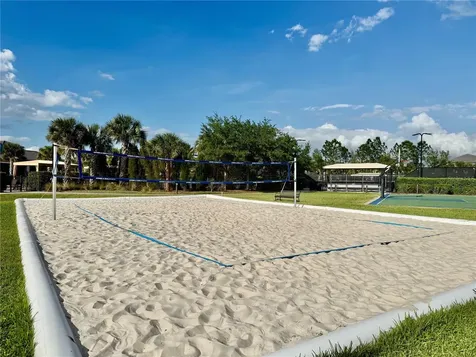 30351 Tristania Court Wesley Chapel FL 33543