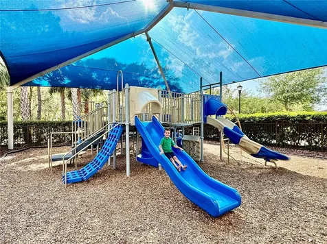 30351 Tristania Court Wesley Chapel FL 33543