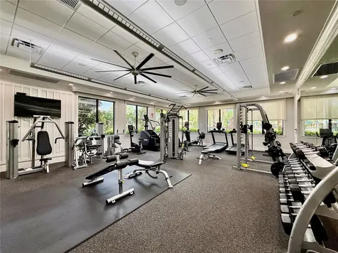 30351 Tristania Court Wesley Chapel FL 33543