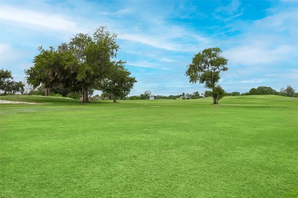 3033 Gem Luster Court Valrico FL 33594