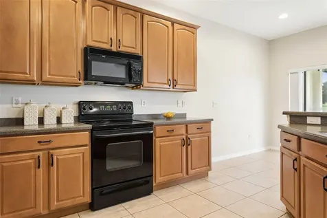 3033 Gem Luster Court Valrico FL 33594