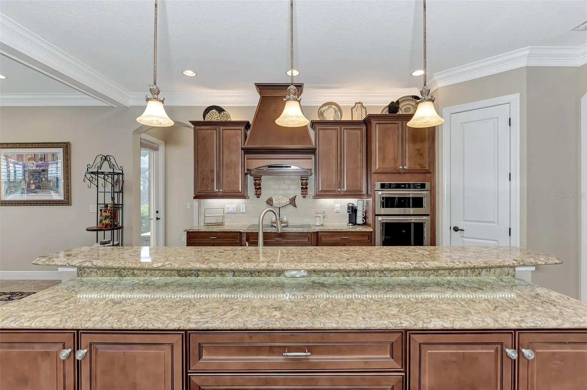 10965 Bullrush Drive Venice FL 34293