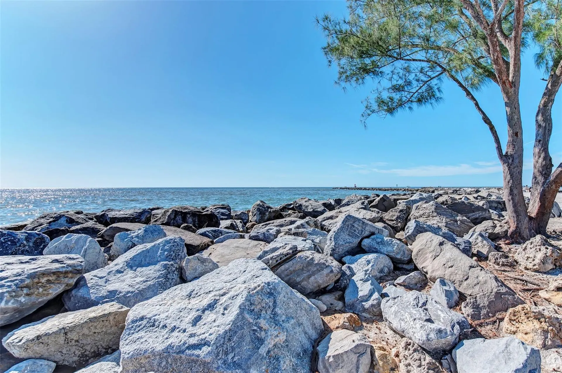 10965 Bullrush Drive Venice FL 34293