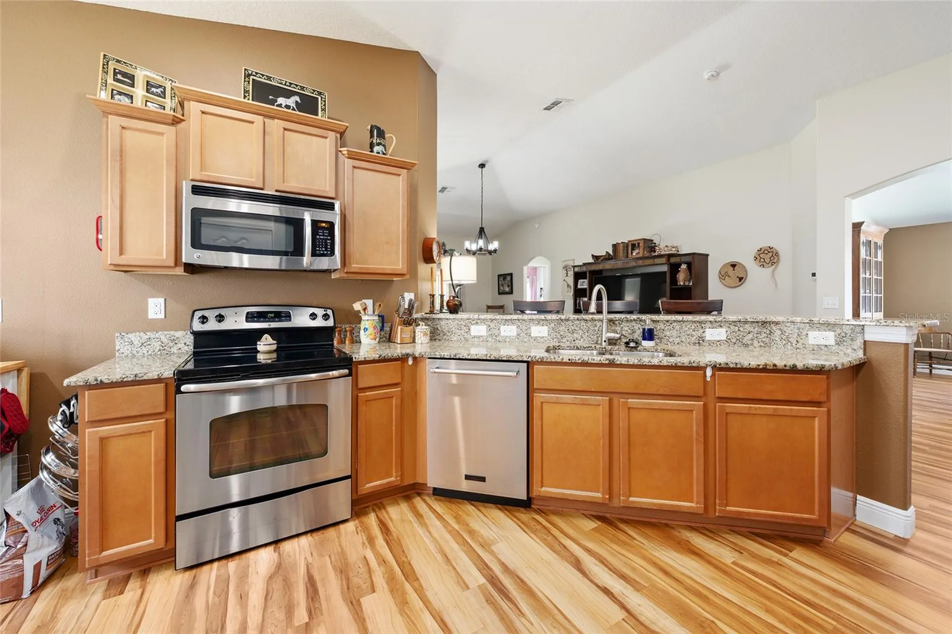 5814 Coquyt Drive Mount Dora FL 32757