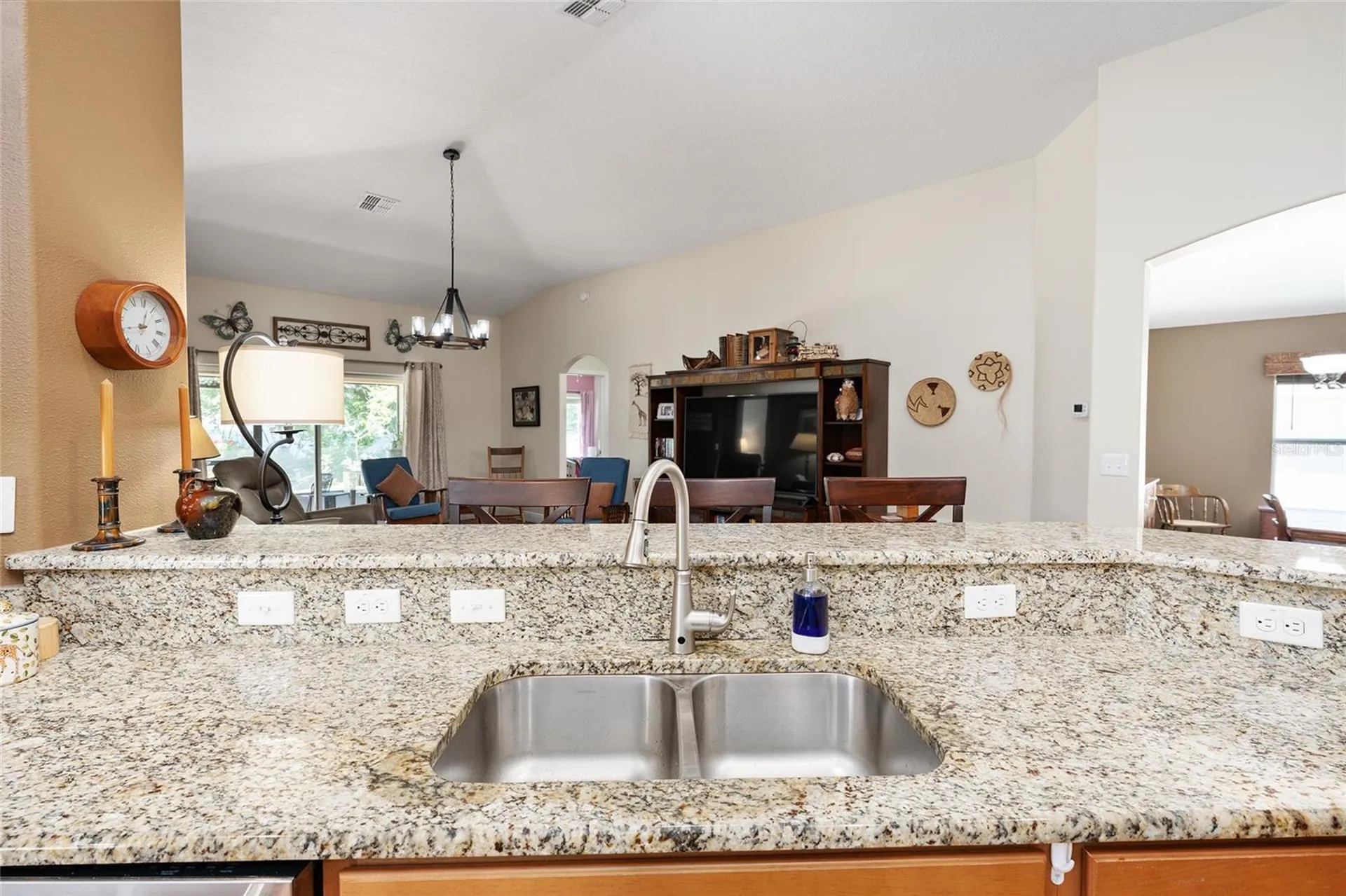 5814 Coquyt Drive Mount Dora FL 32757