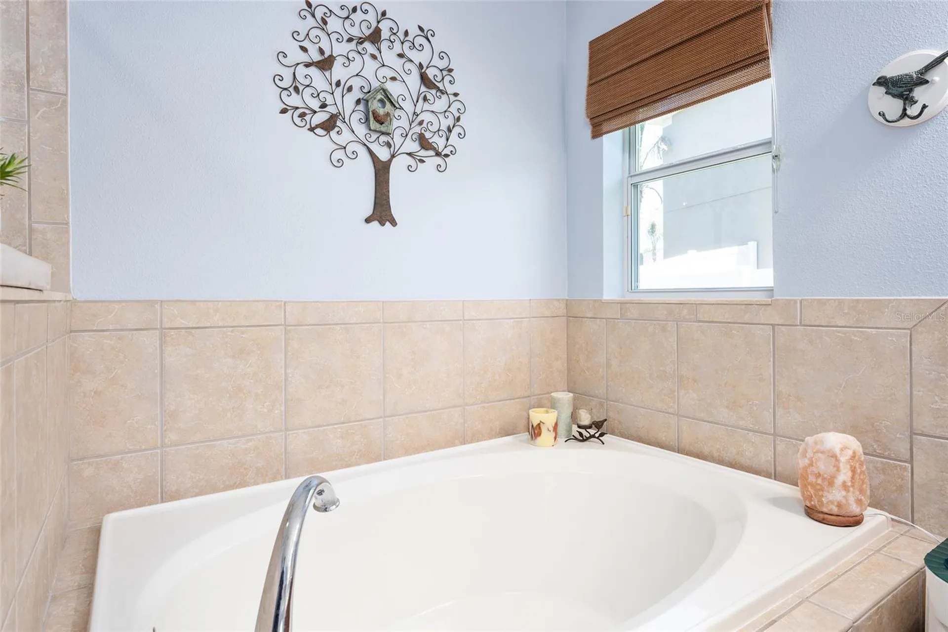 5814 Coquyt Drive Mount Dora FL 32757