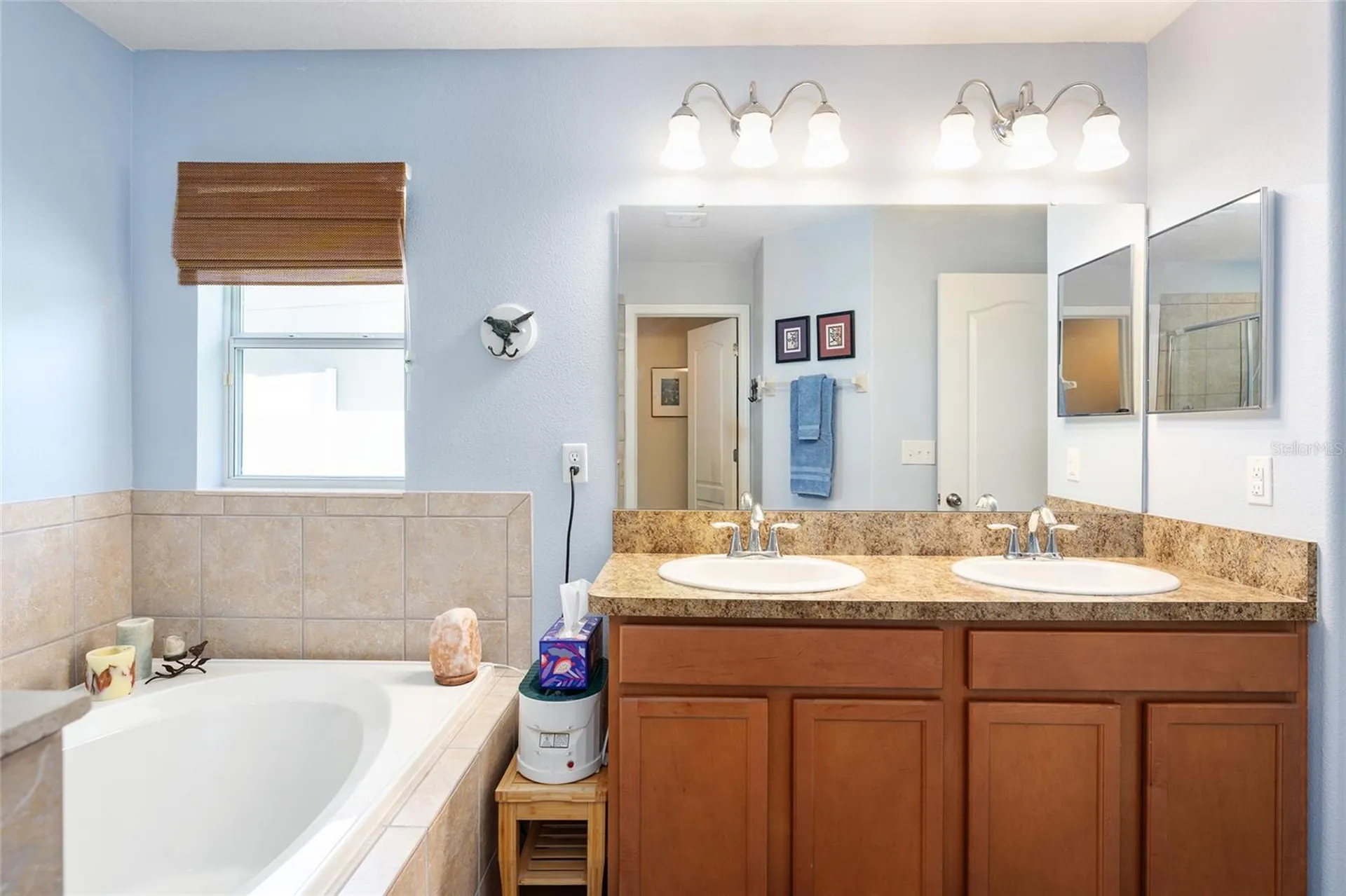 5814 Coquyt Drive Mount Dora FL 32757
