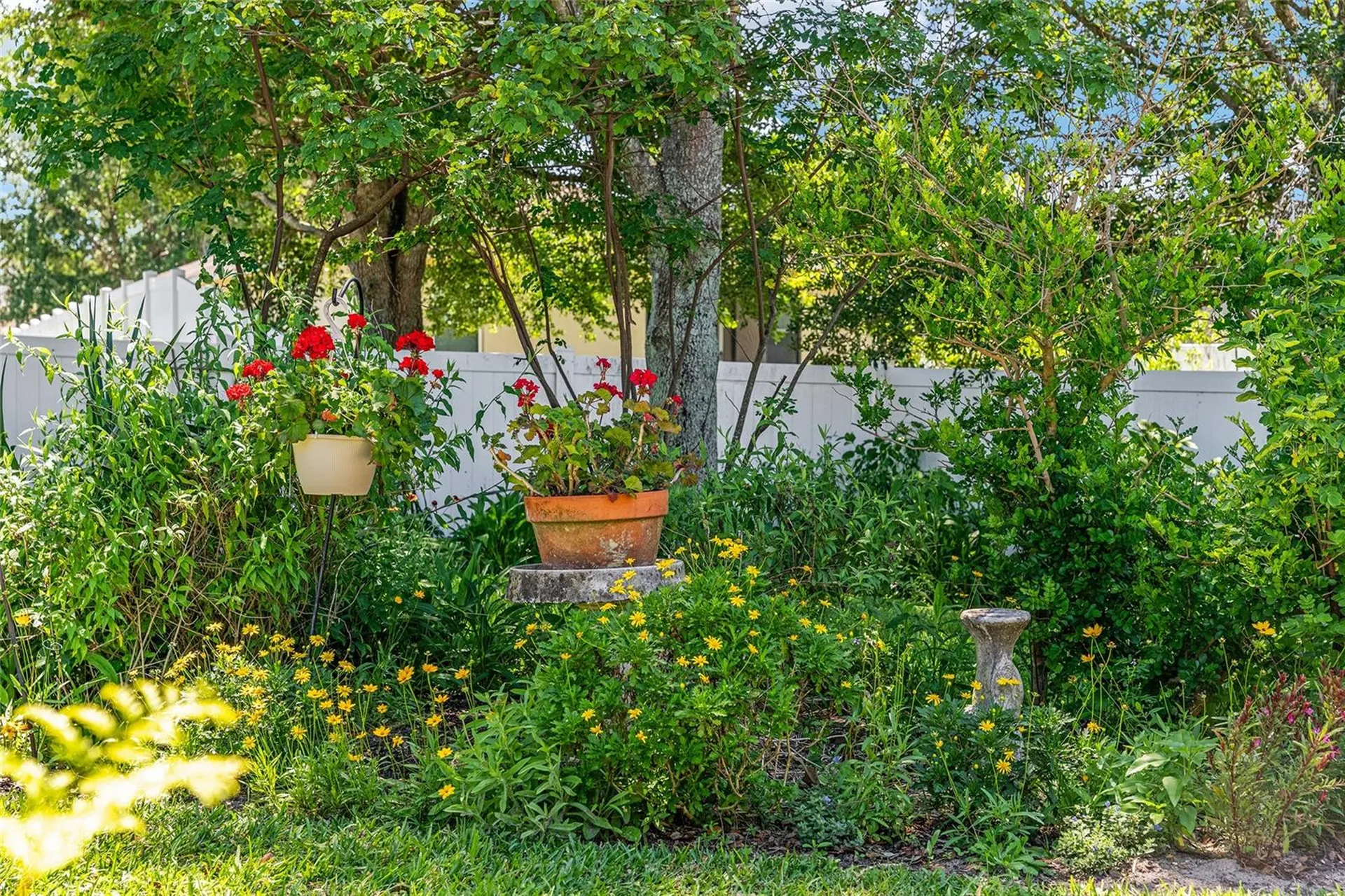 5814 Coquyt Drive Mount Dora FL 32757