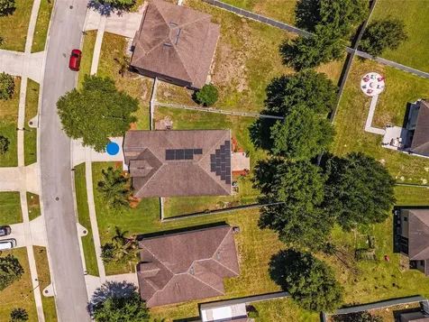 5814 Coquyt Drive Mount Dora FL 32757
