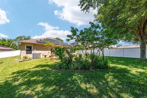 5814 Coquyt Drive Mount Dora FL 32757