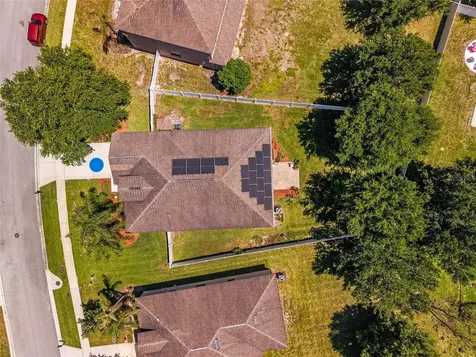 5814 Coquyt Drive Mount Dora FL 32757