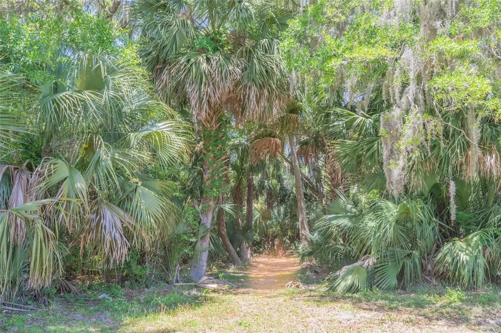 1200 Canopy Walk Lane Palm Coast FL 32137