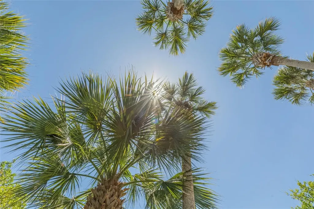 1200 Canopy Walk Lane Palm Coast FL 32137
