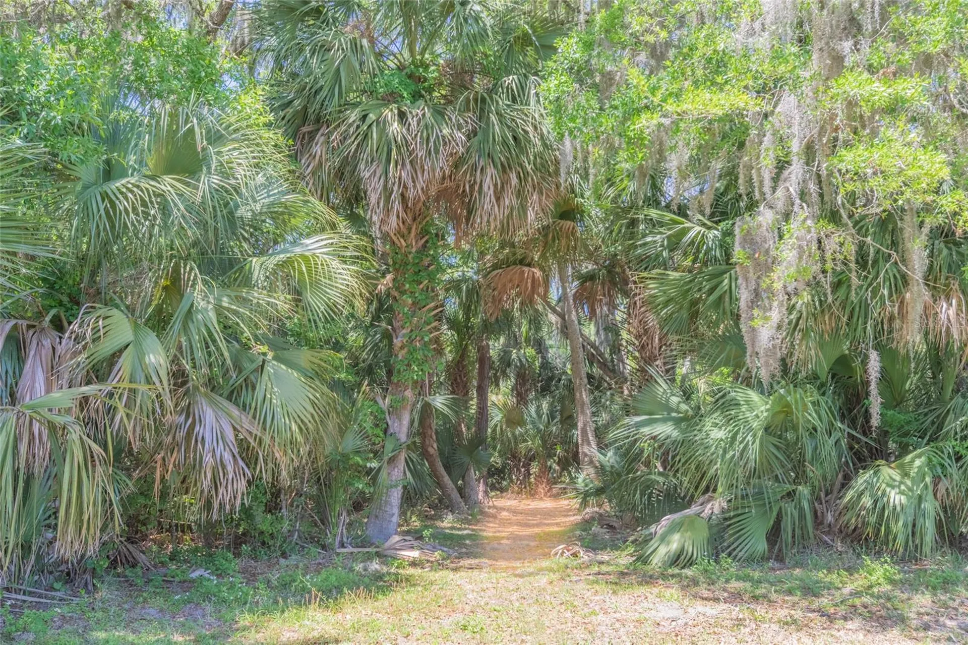 1200 Canopy Walk Lane Palm Coast FL 32137